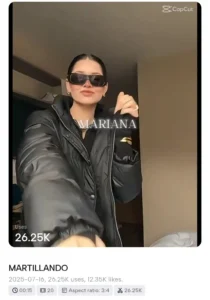 Viral Martillando El Alfa Capcut Template