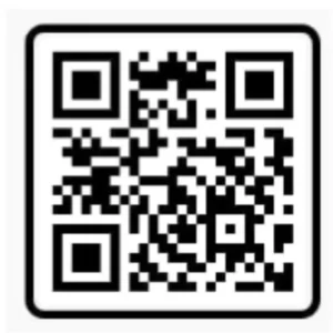 Krishna Ji VN Code